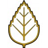 BÍLÝ PIN