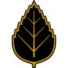 ČERNÝ PIN