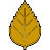 ZLATÝ PIN