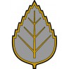 ŠEDÝ